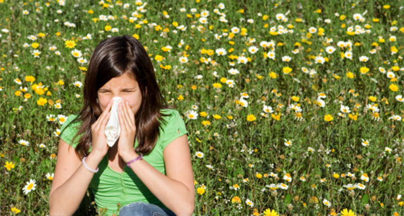 Relief From the Symptoms of Seasonal Allergies Tippett Eye Care Center